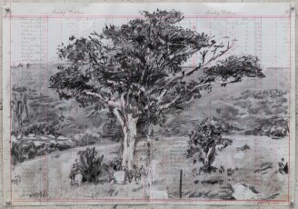 <div class="lightbox-artworktitle">Bushveld Tree (valley)</div><div class="lightbox-artworkyear">2024</div><div class="lightbox-artworkdescription">Charcoal and coloured pencil on found pages</div><div class="lightbox-artworkdimension">46.5 x 66.5 cm</div><div class="lightbox-artworkdimension"></div>