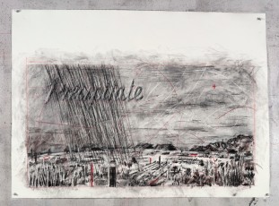 <div class="lightbox-artworktitle">Precipitate</div><div class="lightbox-artworkyear">2024</div><div class="lightbox-artworkdescription">Charcoal and coloured pencil on paper</div><div class="lightbox-artworkdimension">78 x 107 cm</div><div class="lightbox-artworkdimension"></div>