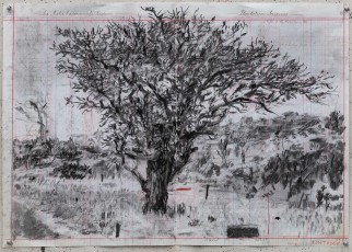 <div class="lightbox-artworktitle">Bushveld Tree (dash)</div><div class="lightbox-artworkyear">2024</div><div class="lightbox-artworkdescription">Charcoal and coloured pencil on found pages</div><div class="lightbox-artworkdimension">46.5 x 66.5 cm</div><div class="lightbox-artworkdimension"></div>