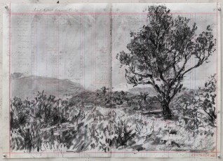 <div class="lightbox-artworktitle">Bushveld Tree (koppie)</div><div class="lightbox-artworkyear">2024</div><div class="lightbox-artworkdescription">Charcoal and coloured pencil on found pages</div><div class="lightbox-artworkdimension">46.5 x 66.5 cm</div><div class="lightbox-artworkdimension"></div>