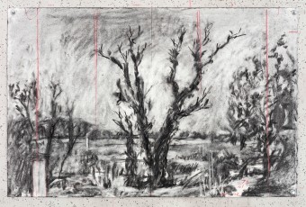 <div class="lightbox-artworktitle">Drawing for L'Orfeo (trees and cloud)</div><div class="lightbox-artworkyear">2025</div><div class="lightbox-artworkdescription">Charcoal and red pencil on paper </div><div class="lightbox-artworkdimension">40 x 60.8 cm</div><div class="lightbox-artworkdimension"></div>
