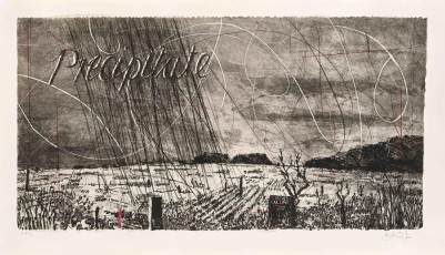 <div class="lightbox-artworktitle">Precipitate </div><div class="lightbox-artworkyear">2024</div><div class="lightbox-artworkdescription">Coffee-lift Aquatint, Drypoint and Screenprint on Phumani Sisal 120 gsm mounted on Hahnemühle, 300 gsm</div><div class="lightbox-artworkdimension">Paper Size: 58.5 x 102 cm
Image Size: 49 x 93 cm</div><div class="lightbox-artworkdimension">Edition of 30 plus 3 artist's proofs</div>