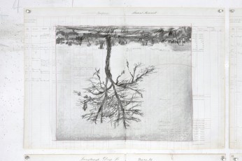 <div class="lightbox-artworktitle">Drawing for Black Box / Chambre Noire (Upside-down Tree)</div><div class="lightbox-artworkyear">2005</div><div class="lightbox-artworkdescription">Charcoal on found paper</div><div class="lightbox-artworkdimension"></div><div class="lightbox-artworkdimension"></div><div class="lightbox-tagswithlinks"><A rel='nofollow' href='/page/1/?s=%23Charcoal'>#Charcoal</A> <A rel='nofollow' href='/page/1/?s=%23FoundPaper'>#FoundPaper</A> <A rel='nofollow' href='/page/1/?s=%23BlackBoxChambreNoire'>#BlackBoxChambreNoire</A></div>