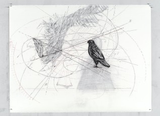 <div class="lightbox-artworktitle">Drawing for The Magic Flute (Bird and Abstract)</div><div class="lightbox-artworkyear">2004</div><div class="lightbox-artworkdescription">Charcoal on paper</div><div class="lightbox-artworkdimension"></div><div class="lightbox-artworkdimension"></div><div class="lightbox-tagswithlinks"><A rel='nofollow' href='/page/1/?s=%23Charcoal'>#Charcoal</A> <A rel='nofollow' href='/page/1/?s=%23Paper'>#Paper</A> <A rel='nofollow' href='/page/1/?s=%23TheMagicFlute'>#TheMagicFlute</A></div>