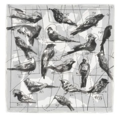 <div class="lightbox-artworktitle">Bird Catching</div><div class="lightbox-artworkyear">2006</div><div class="lightbox-artworkdescription">Ink wash on watercolour paper</div><div class="lightbox-artworkdimension">99 x 99 cm</div><div class="lightbox-artworkdimension"></div><div class="lightbox-tagswithlinks"><A rel='nofollow' href='/page/1/?s=%23Ink'>#Ink</A> <A rel='nofollow' href='/page/1/?s=%23Paper'>#Paper</A> <A rel='nofollow' href='/page/1/?s=%23Series'>#Series</A> <A rel='nofollow' href='/page/1/?s=%23TheMagicFlute'>#TheMagicFlute</A></div>