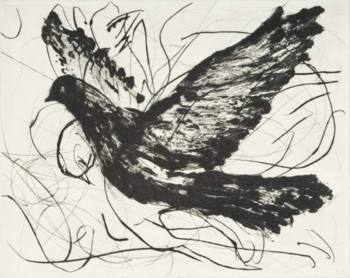 <div class="lightbox-artworktitle">Dove - State I </div><div class="lightbox-artworkyear">2006</div><div class="lightbox-artworkdescription">Drypoint and Carborundum on Somerset Velvet, Soft White 300</div><div class="lightbox-artworkdimension">38.6 x 43 cm</div><div class="lightbox-artworkdimension">Edition of 1</div><div class="lightbox-tagswithlinks"><A href='/page/1/?s=%23Paper'>#Paper</A> <A href='/page/1/?s=%23Series'>#Series</A> <A href='/page/1/?s=%23Edition'>#Edition</A> <A href='/page/1/?s=%23Etching'>#Etching</A> <A href='/page/1/?s=%23TheMagicFlute'>#TheMagicFlute</A> <A href='/page/1/?s=%23Drypoint'>#Drypoint</A></div>