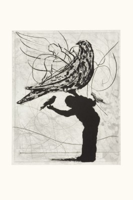 <div class="lightbox-artworktitle">Man and Dove - Bird Catching</div><div class="lightbox-artworkyear">2006</div><div class="lightbox-artworkdescription">Drypoint, Carborundum and Open bite on Somerset Velvet, Soft White 300</div><div class="lightbox-artworkdimension">77.5 x 55.5 cm </div><div class="lightbox-artworkdimension">Edition of </div><div class="lightbox-tagswithlinks"><A href='/page/1/?s=%23Paper'>#Paper</A> <A href='/page/1/?s=%23Edition'>#Edition</A> <A href='/page/1/?s=%23Etching'>#Etching</A> <A href='/page/1/?s=%23TheMagicFlute'>#TheMagicFlute</A> <A href='/page/1/?s=%23Drypoint'>#Drypoint</A></div>