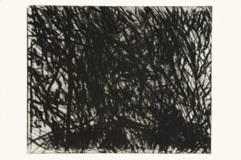 <div class="lightbox-artworktitle">Copper Notes - State 11 </div><div class="lightbox-artworkyear">2005</div><div class="lightbox-artworkdescription">Drypoint, Engraving and Burnishing on Hahnemühle paper</div><div class="lightbox-artworkdimension">28.5 x 33 cm</div><div class="lightbox-artworkdimension">Edition of </div><div class="lightbox-tagswithlinks"><A rel='nofollow' href='/page/1/?s=%23SelfPortrait'>#SelfPortrait</A> <A rel='nofollow' href='/page/1/?s=%23Text'>#Text</A> <A rel='nofollow' href='/page/1/?s=%23Series'>#Series</A> <A rel='nofollow' href='/page/1/?s=%23Edition'>#Edition</A> <A rel='nofollow' href='/page/1/?s=%23Etching'>#Etching</A> <A rel='nofollow' href='/page/1/?s=%23BlackBoxChambreNoire'>#BlackBoxChambreNoire</A></div>