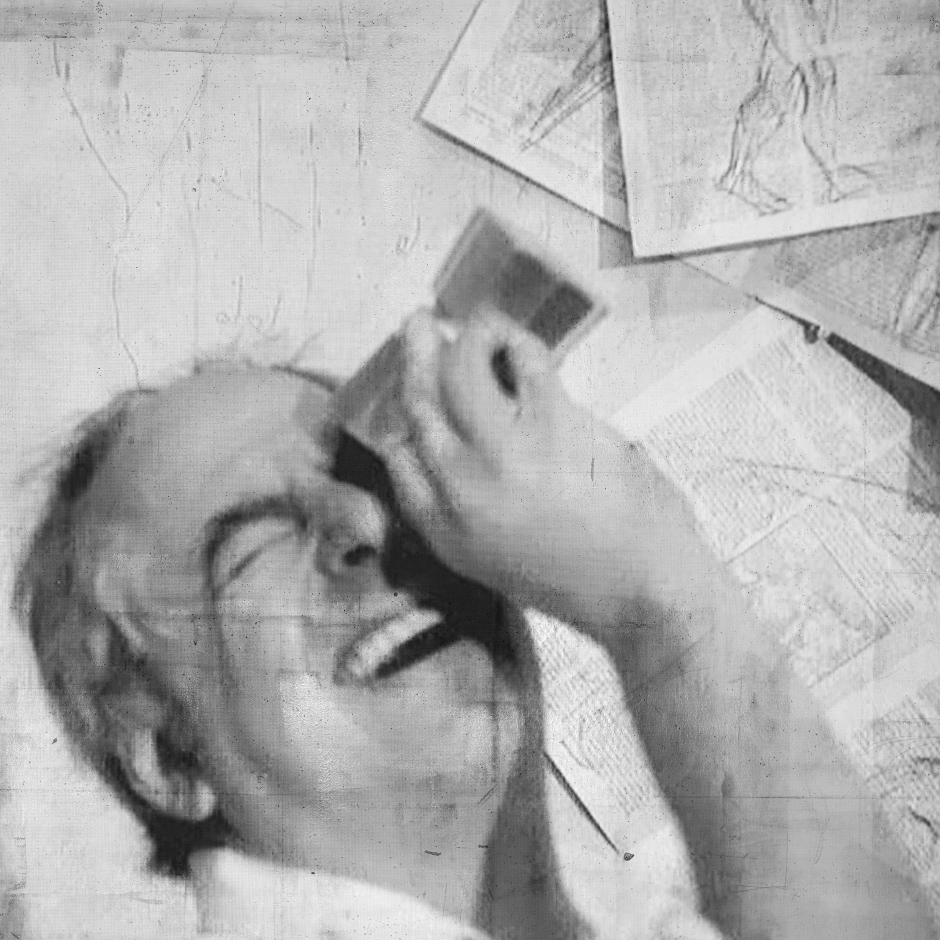 William Kentridge: William Kentridge: In Praise of Shadows