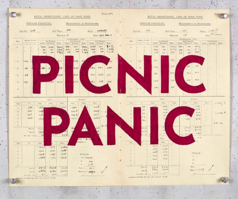 Picnic Panic